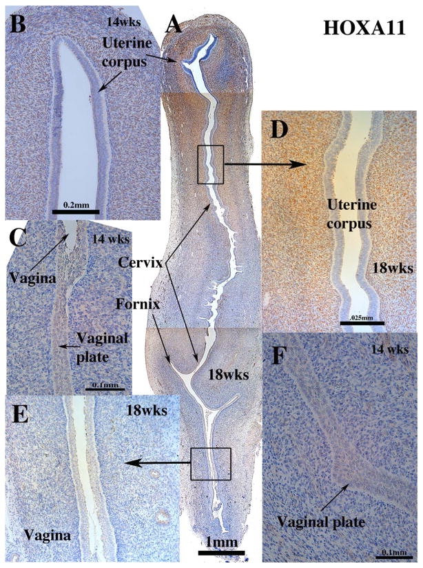 Fig. 9