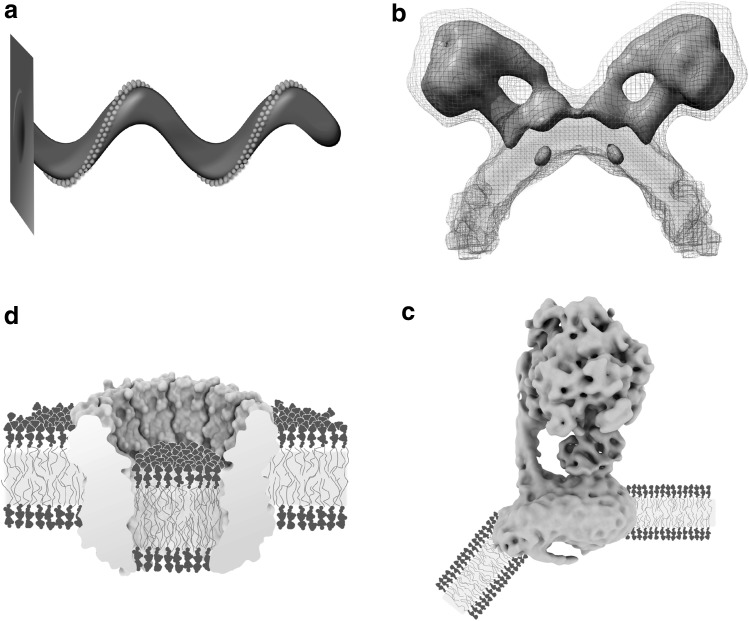 Fig. 4