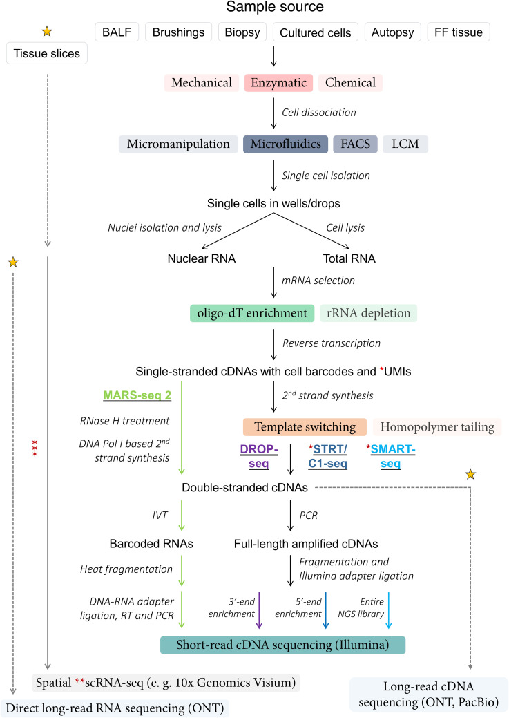 Figure 1.