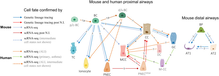 Figure 6.