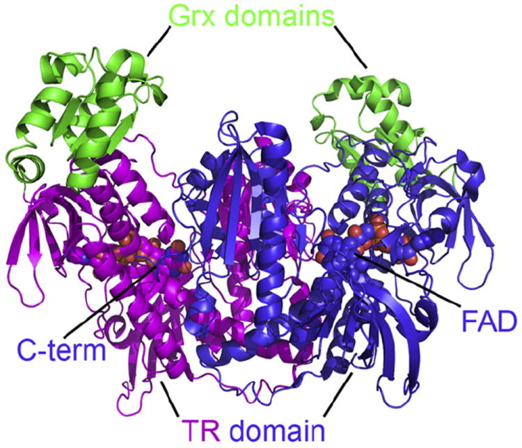 Fig. 2