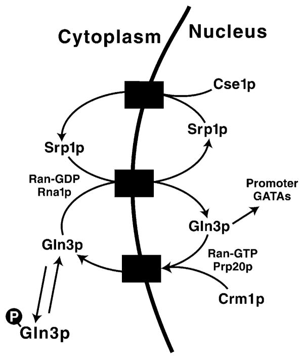 Fig. 9