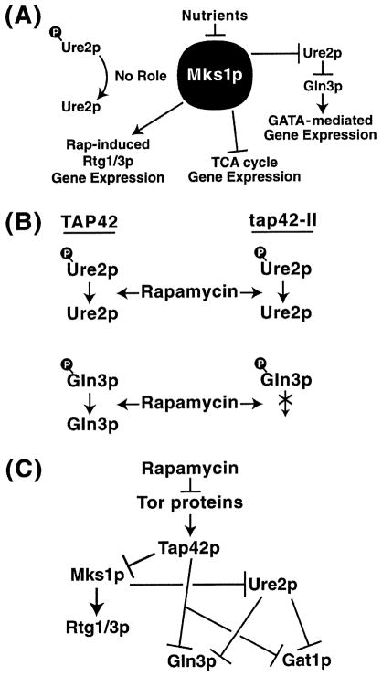 Fig. 18