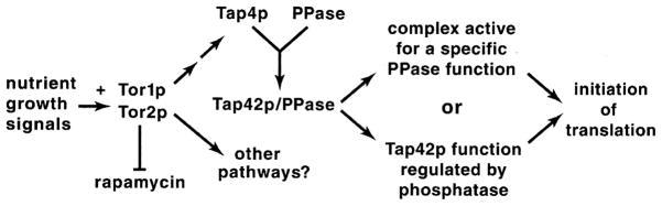 Fig. 14