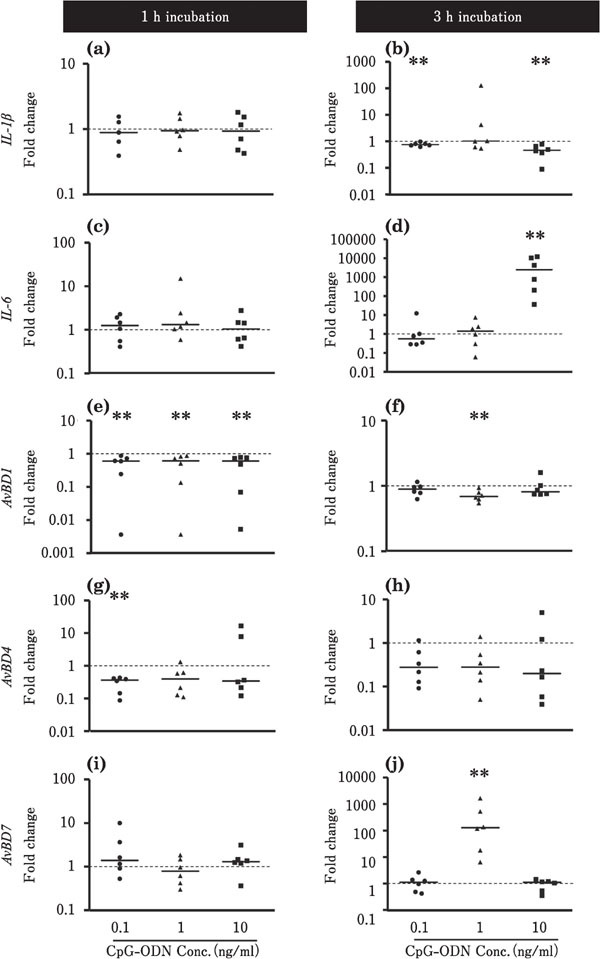 Fig. 6.