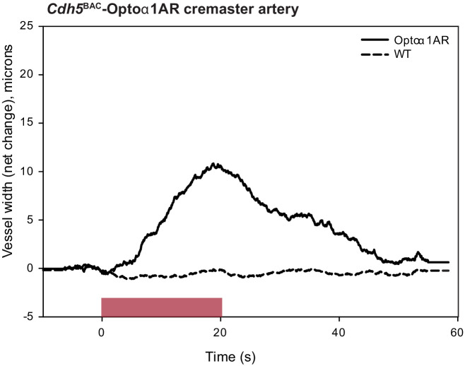 Figure 7—figure supplement 1.