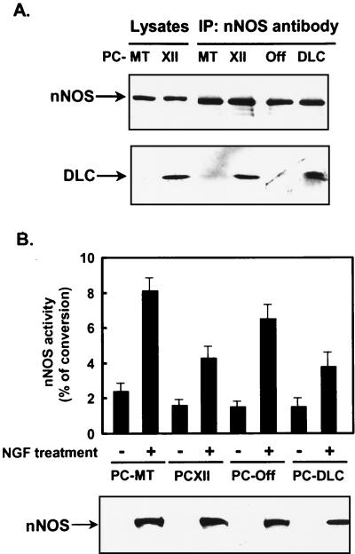 FIG. 5