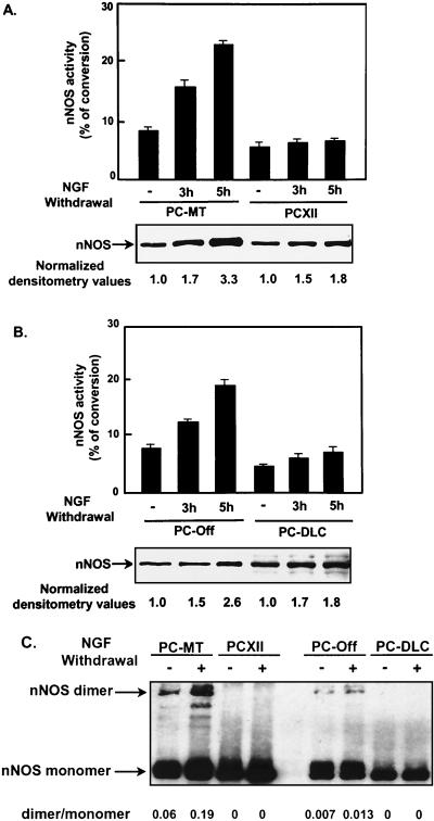 FIG. 6