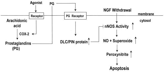 FIG. 8