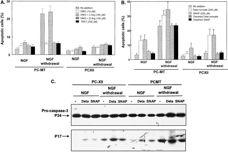 FIG. 7