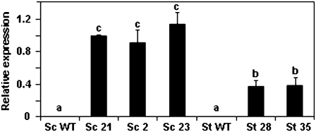 Fig. 3.