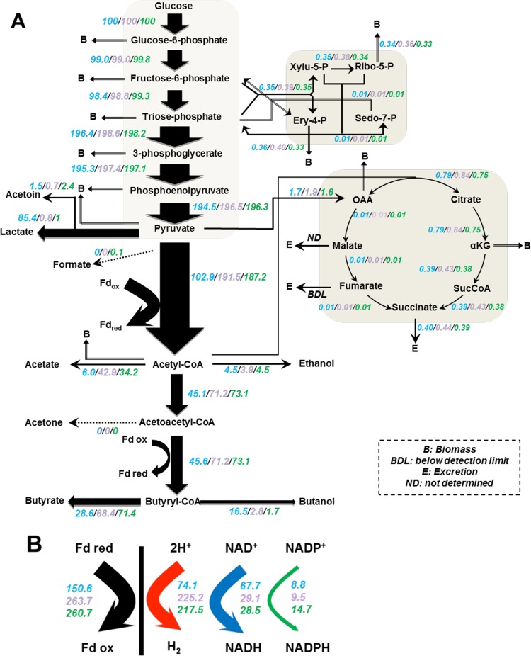 FIG 2 