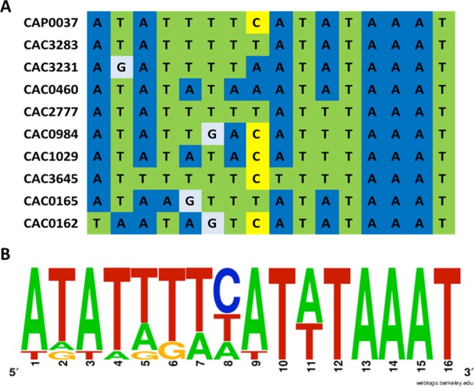 FIG 4 