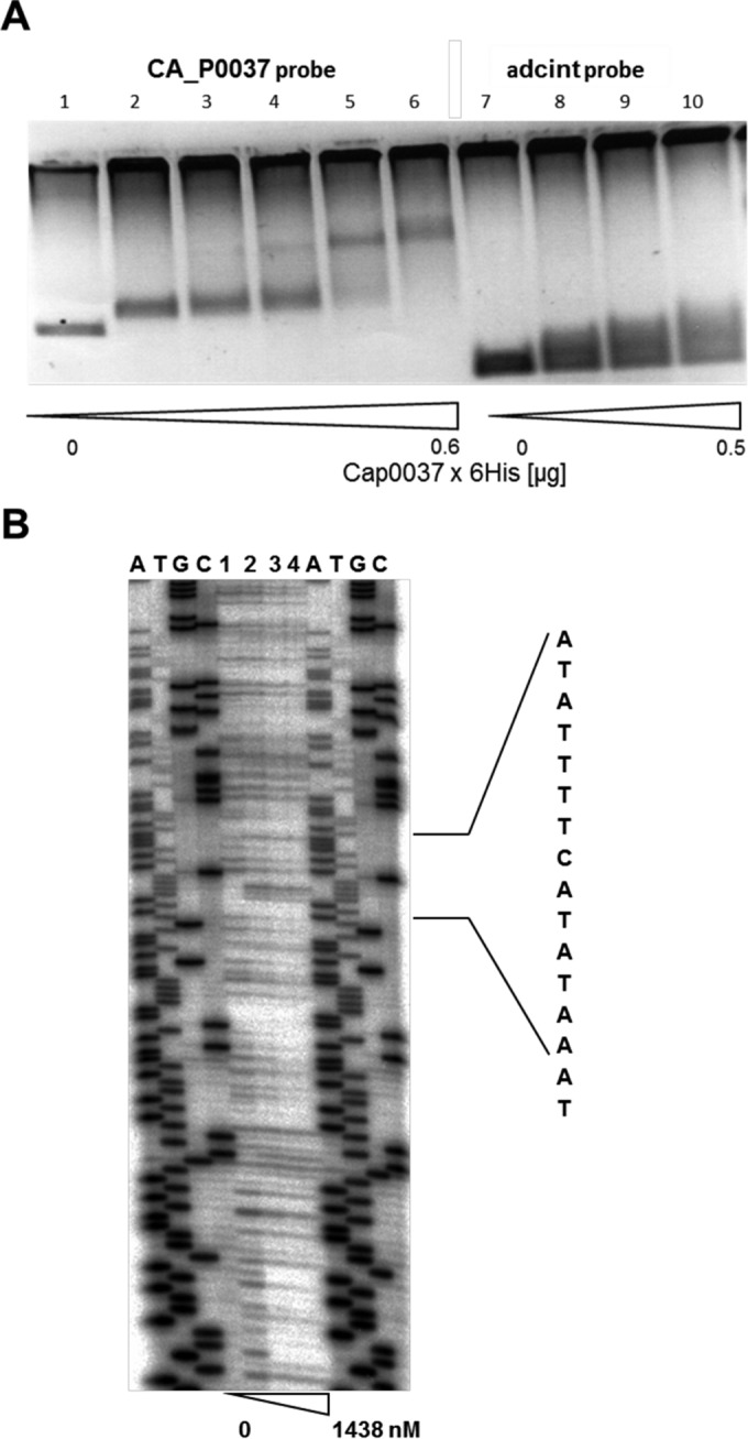 FIG 3 