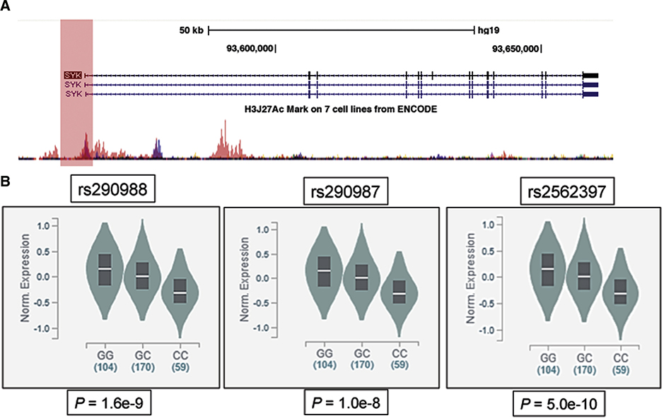 Figure 3: