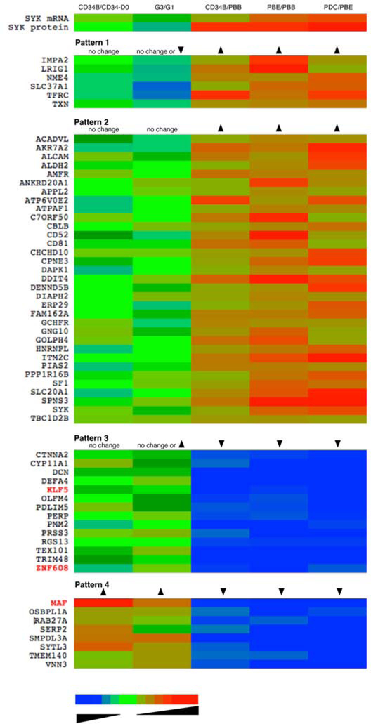 Figure 4: