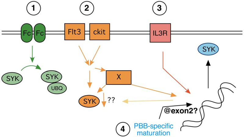 Figure 5: