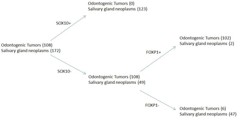 Figure 5: