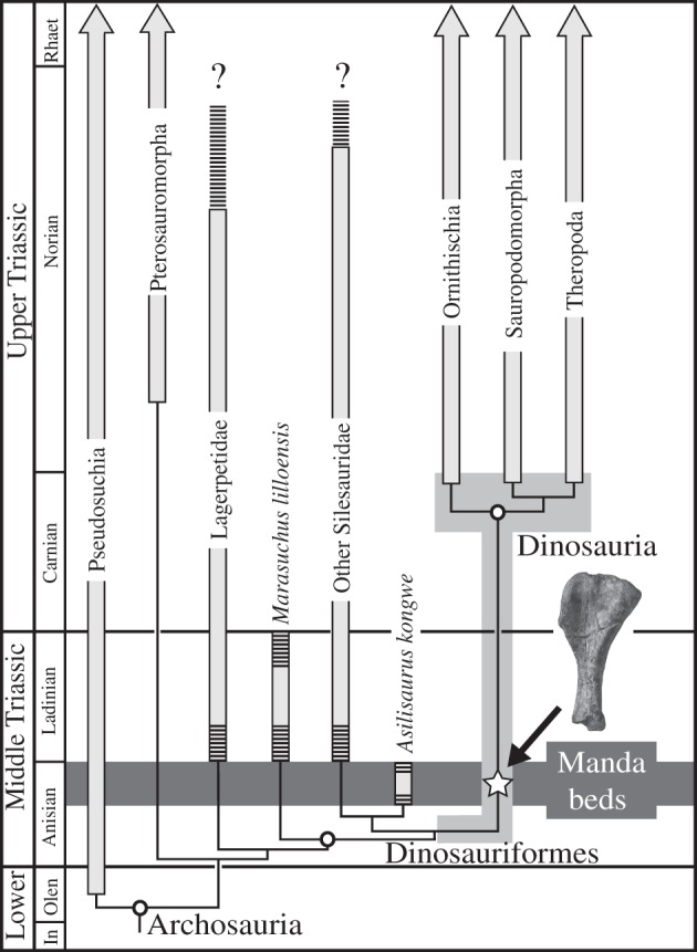 Figure 2.