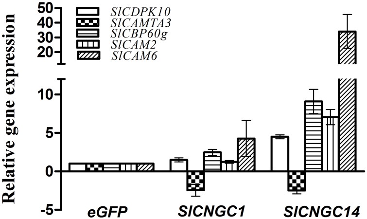 FIGURE 5