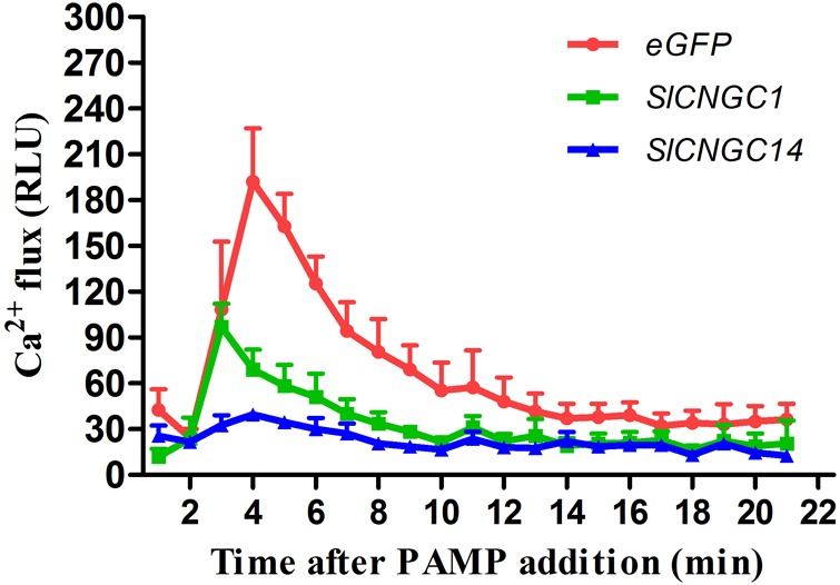 FIGURE 4