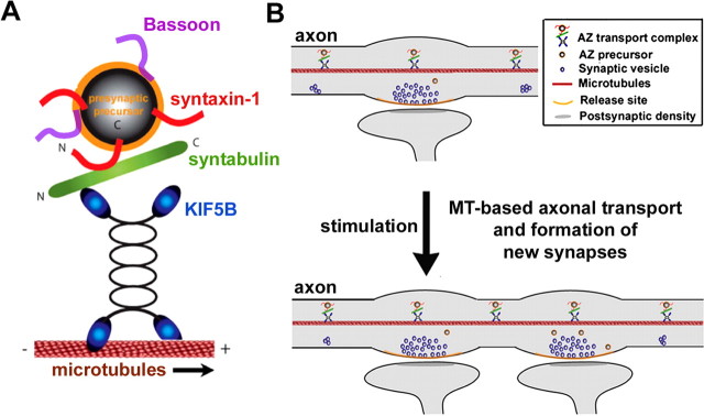 Figure 10.