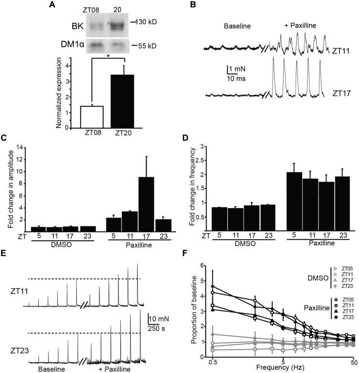 FIGURE 4