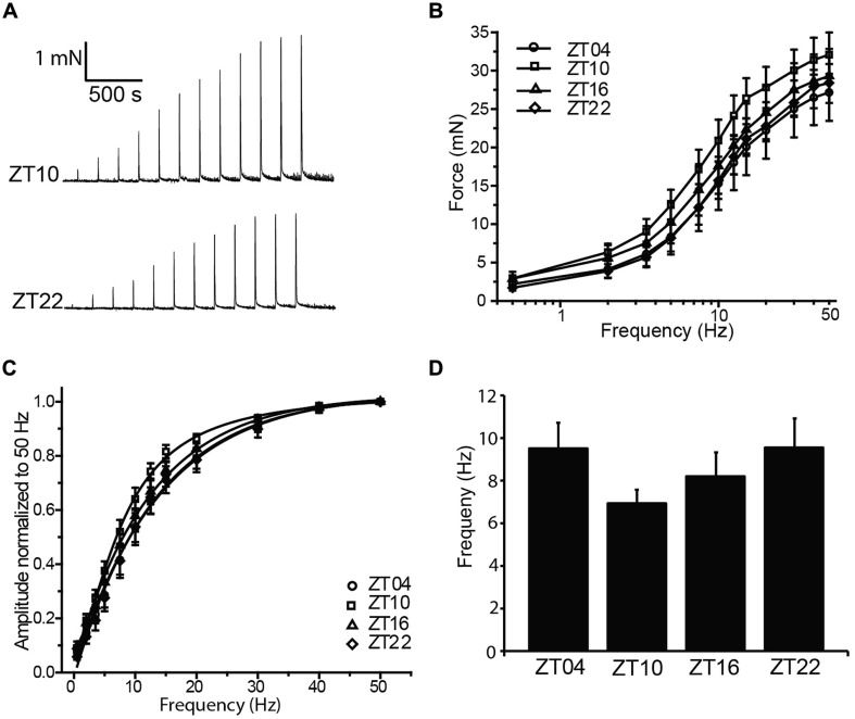 FIGURE 3