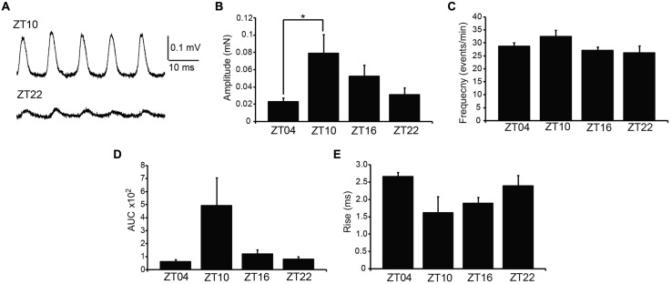 FIGURE 2