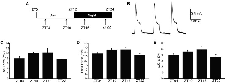 FIGURE 1