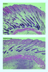 <b>Figure 4.</b>
