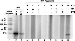 Figure 9