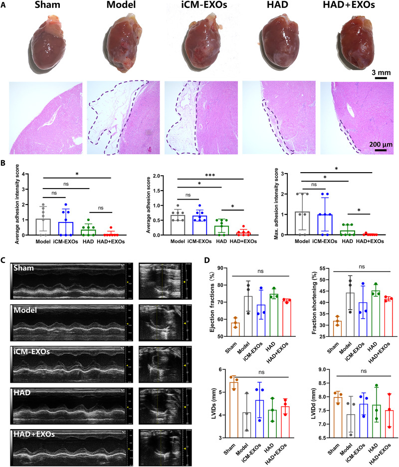 Fig. 8.