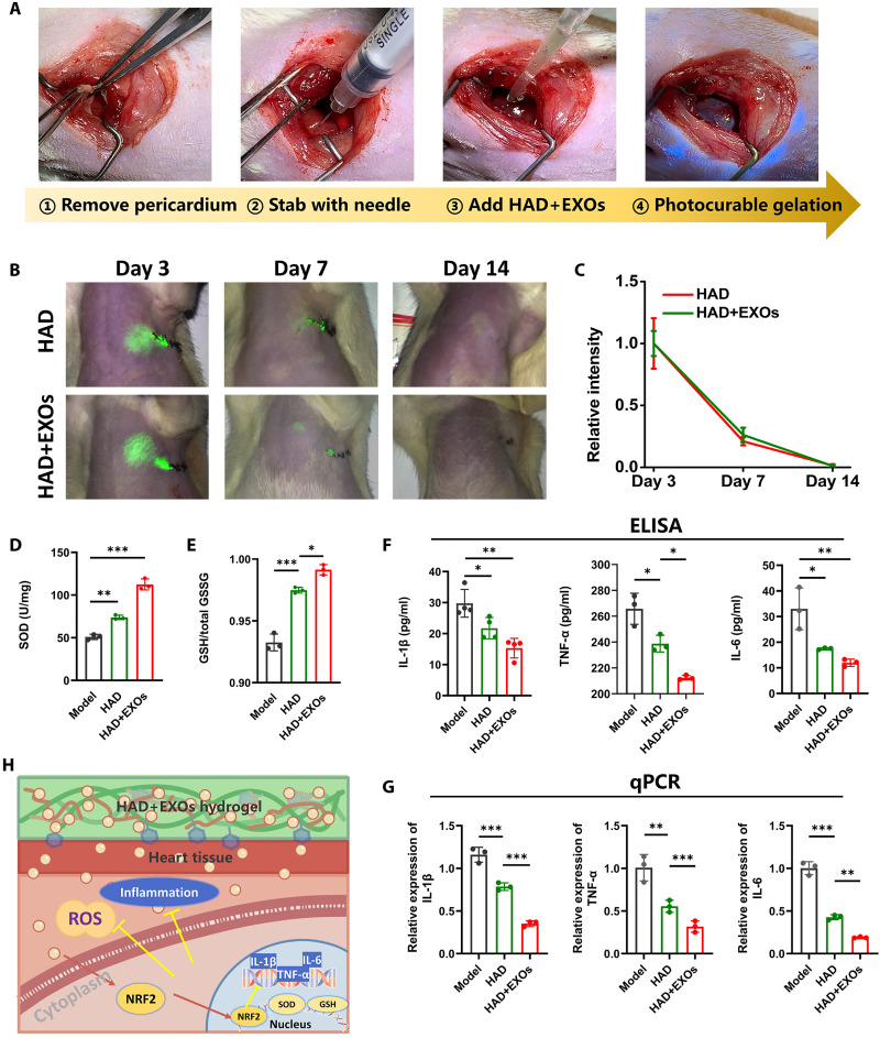 Fig. 6.