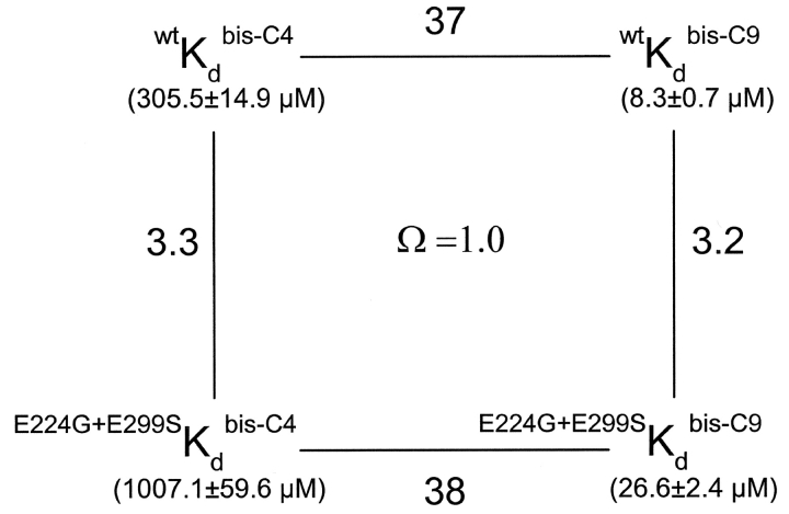 Figure 8. 