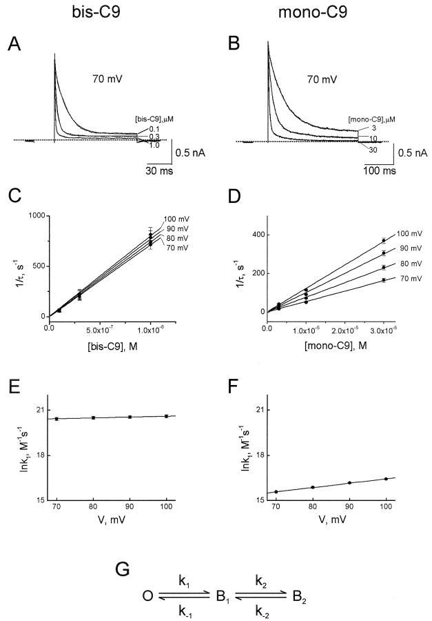 Figure 9. 