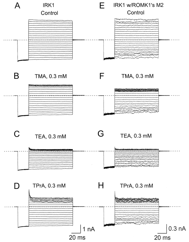 Figure 11. 