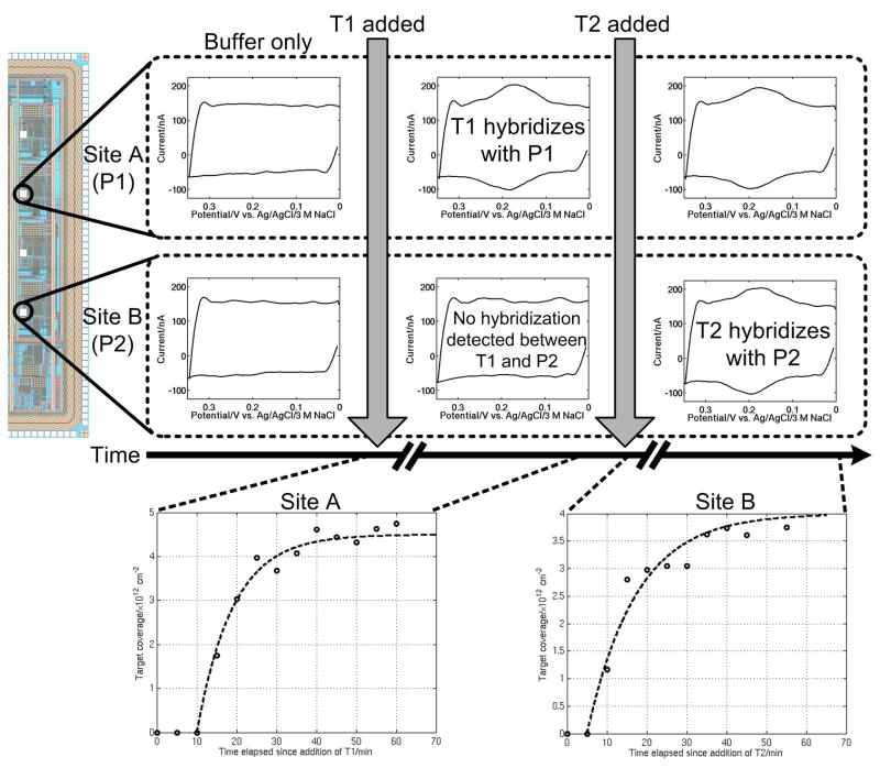 Fig. 6