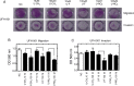 Fig 9