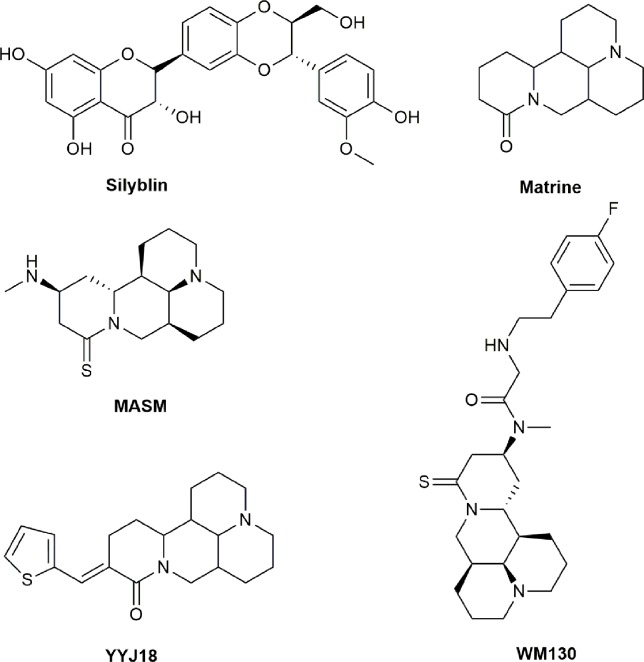 Figure 6