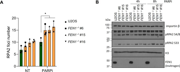 Extended Data Fig. 6