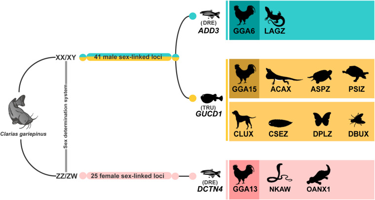 FIGURE 6