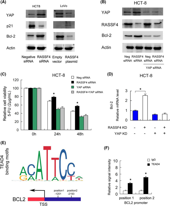 FIGURE 4