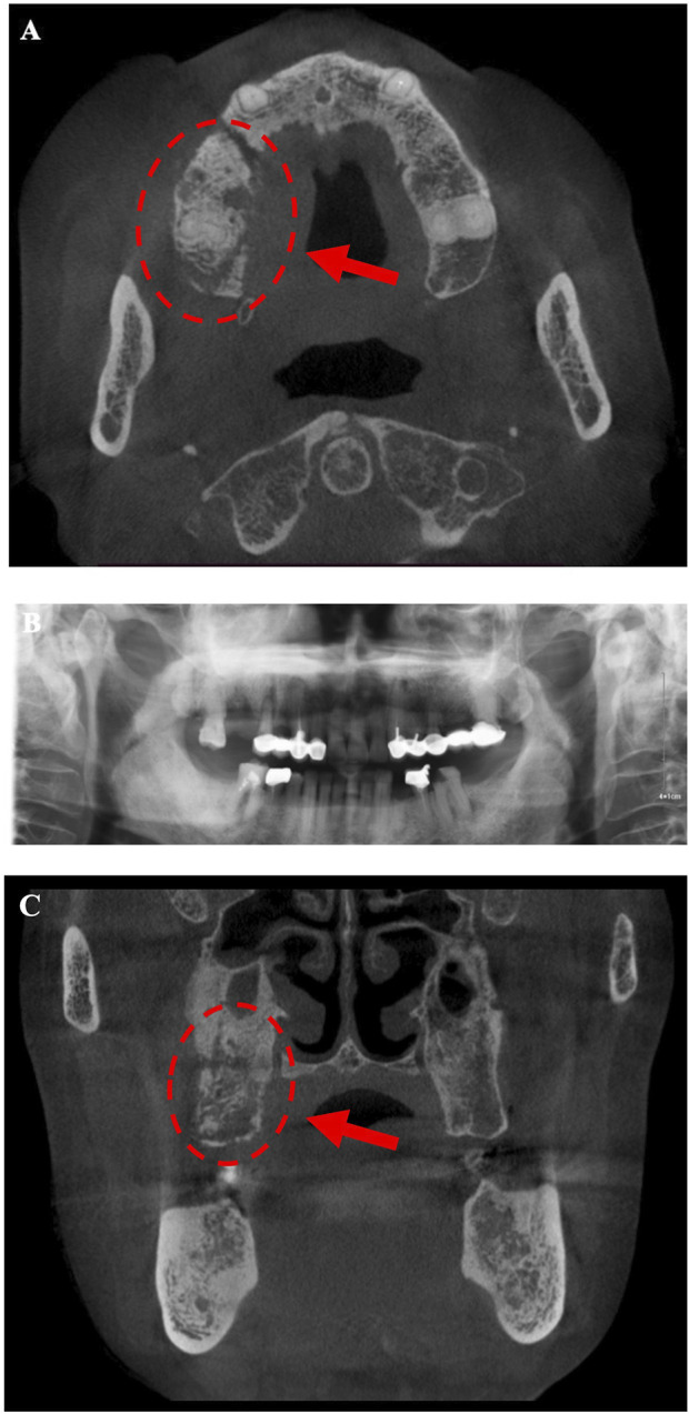 FIGURE 2