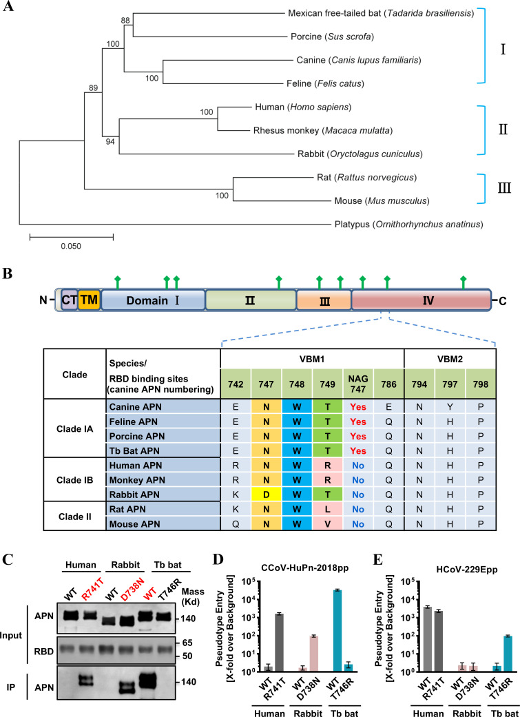 FIG 3