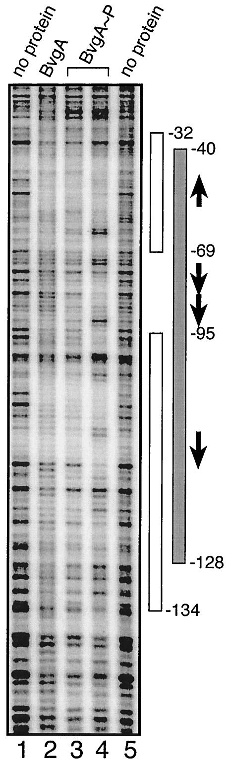 FIG. 5.