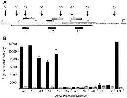 FIG. 6.