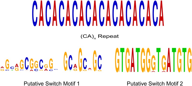 Figure 5.