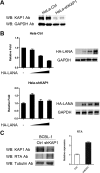 FIG 5