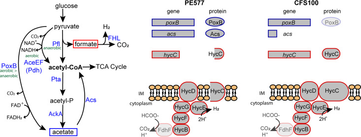 FIG 3